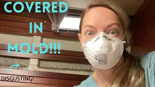 MOLD ATTACK in our Hallberg Rassy 352 Sailboat | How to deal w/ Condensation on a BOAT in Winter EP3