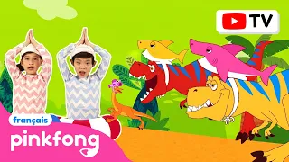 [BEST] Les Plus Belles Chansons Bébé Requin🦈 | Shark Month | +Comptines | Bébé Requin ! Chanson Bébé