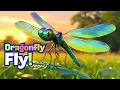 Download Lagu Dragonfly Fly – Fun Kids Song About Flying Insects and Nature!
