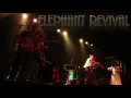 Elephant Revival "Single Beds Are Made For One" 4.19.16 Wonder Ballroom