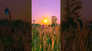 Sun Rise Photography Photo Edit In Hd Sun Sunrise Edit Natural Photography Viral 