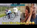 Download Lagu Video Lucu || Video Lucu Bikin Ngakak Sakit Perut || Kursus Bahasa Mandarin || Video Lucu Terbaru