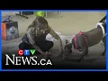 Dogs become Pawcasso at HART fundraiser