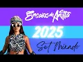 Download Lagu Ensaios da Anitta - 2025 (Set Mixado)