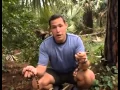 The Jeff Corwin Experience Florida Part 3