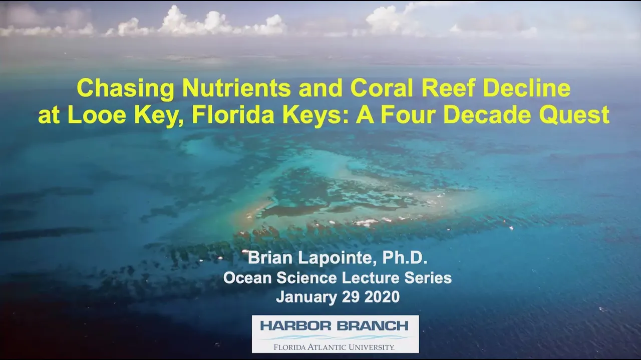 Brian Lapointe 1/29/20 Chasing Nutrients and Coral Reef Decline at Looe Key
