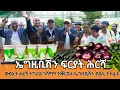 TMH - 1-5 2017