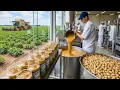 Lagu How it's made: Peanut Butter – The Creamiest Industrial Process in the World!