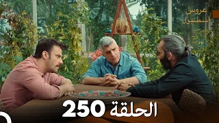 FULL HD Arabic Dubbed مسلسل عروس اسطنبول الحلقة 250 