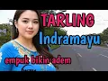 Download Lagu TARLING TENGDUNG INDRAMAYU_EMPUK BIKIN ADEM @CitraputriAyudia