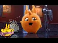 Download Lagu Time Machine - Sunny Bunnies | Cartoons For Kids