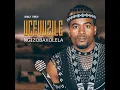 Ngizobaxolela