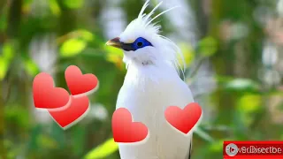 hammd allah allah gulaab official hd video beautiful naat