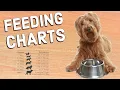 How to Read Pet Feeding Charts