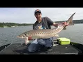How to catch STURGEON - Gear and Locations