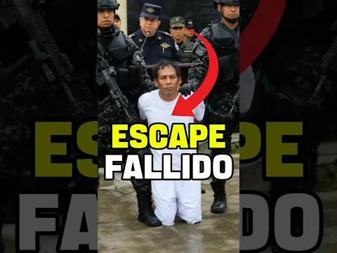 🔥😯¡La respuesta de Bukele ante el caso que i4dign4 a El Salvador!😯🔥