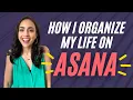 How I Organize My ENTIRE Life On Asana Lifehack Method