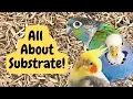 Substrate for Bird Cages BirdNerdSophie AD
