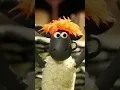 Download Lagu Can sheep wear wigs?🐑🐑🐑 #shorts #shaunthesheep #cartoonforkids #party #animals #preschool