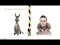 Channel