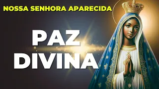 🙏ORAÇÃO do MILAGRE IMPOSSÍVEL a NOSSA SENHORA APARECIDA🙌PEÇA E RECEBA Seu MILAGRE