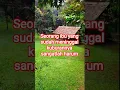 Download Lagu amalan ibadah yang dilakukan #yayasansyekhalijaber #motivasidiri #nasehat