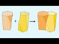 Scutoid