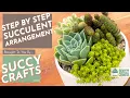 Planting Succulents In a Small Sprite Container