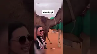 فردية رهف القحطاني في مهرجان الابل 