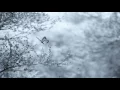 Madeleine Peyroux - La Vie En Rose