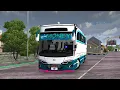 YOUNG MONEY BUS SKIN BUSSID 2026