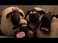 Baranek Shaun (Shaun the Sheep) S01E12 Horror Timmy'ego (Little Sheep of Horrors)