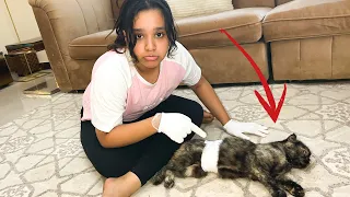 شفا تعالج قطتها تعبانة    دندنها