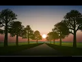 Vector nature landscape in illustrator