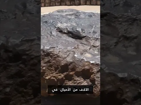 النيازك الحجرية: كبسولات زمنية كونية وشظايا كوكبية!  #السعودية #العراق #الجزائر #مصر