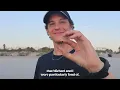 Introducing Creamsickler A Strain with Heart