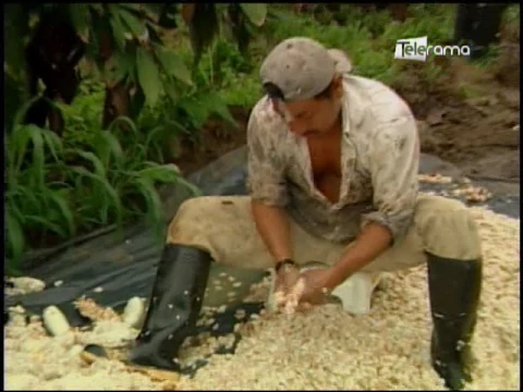 Ecuador Agropecuario 07-03-2017