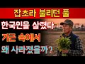 Lagu 한국인을 살린 들풀, 왜 일부러 잊혀졌을까?