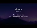 Assala - Mab'ash Ana (Egyptian Arabic) Lyrics + Translation - أصالة - ما بقاش أنا