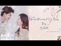 Download Lagu OST. Closer To You( 我的刺猬女孩) Most Wanted to say By SAM [HAN|PIN|ENG|IND] Video Lyric