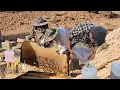 Download Lagu The Rarest Honey in the World – Harvested in Mountains 🍯