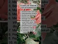 Download Lagu 10 Amalan terbaik di bulan ramadhan #shorts #islam #ramadhan2023 #doa #amalan