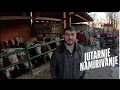 Download Lagu JUTARNJE NAMIRIVANJE - BIKOVI - SVINJE - KOKOŠI - TOV BIKOVA - TOV JUNADI - TOV SVINJA - VANDA MANDA
