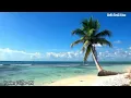 Download Lagu 🌹7 Pelangi Cinta (Lirik Video)🌹- RM