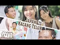 Download Lagu Japan Kacang Telur Prank Versi Long // Carol De #carolde
