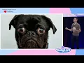 RubyConf 2023 - Which Time Is It by Joel Quenneville
