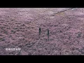 陳奕迅 - 無條件