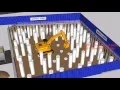 High rise building construction method