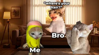 Cat Memes That Are Keeping It Real