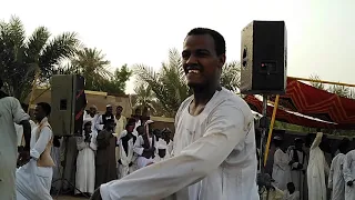 عبدالواحد الباوقة و عبدالعظيم الكردة عرس قنيبة الباوقة 2 